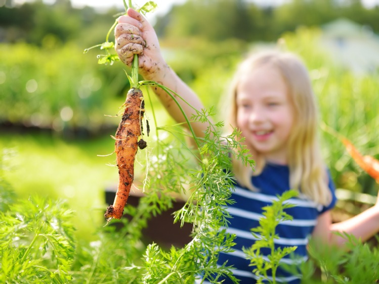 W.Legutko zachęca dzieci do uprawy własnych warzyw.